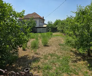 Vand teren intravilan in centrul Orasului  Buzias strada Republicii cu toate utilitatile - imagine 8