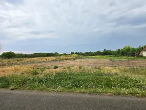 Teren intravilan parcelat constructie case Padureni in centru la 14 km de Timisoara cu utilitati - imagine 3