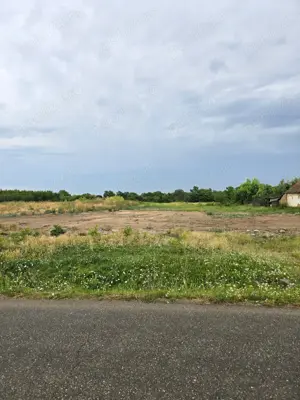 Teren intravilan parcelat constructie case Padureni in centru la 14 km de Timisoara cu utilitati - imagine 4