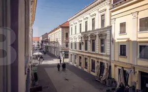 Apartament istoric deosebit în Palatul Ágoston Galgon – Timișoara, Ultracentral - imagine 5