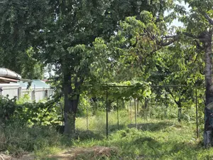 Casă de vânzare, Botoșani, str Pușkin - imagine 7