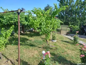 Proprietar vand casa - imagine 3