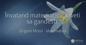 Meditatii matematica gimnaziu in Dumbravita si Timisoara