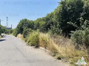TEREN STRADAL GIULESTI, 50000 mp, la asfalt, intravilan, toate utilitatile, pentru INVESTITORI - imagine 4