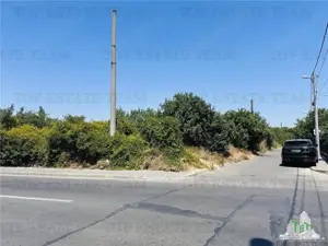TEREN STRADAL GIULESTI, 50000 mp, la asfalt, intravilan, toate utilitatile, pentru INVESTITORI - imagine 2