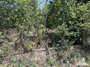 TEREN STRADAL GIULESTI, 50000 mp, la asfalt, intravilan, toate utilitatile, pentru INVESTITORI - imagine 7