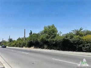 TEREN STRADAL GIULESTI, 50000 mp, la asfalt, intravilan, toate utilitatile, pentru INVESTITORI - imagine 5