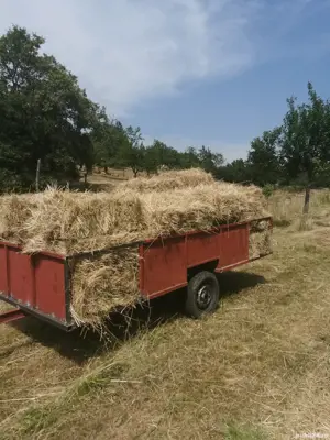 Ofer spre vânzare 440 baloti de fan 