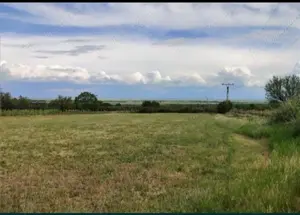 De vanzare teren 6600m pietroasele  - imagine 4