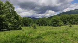 Teren de Vanzare - Intravilan - 2750mp  - imagine 5