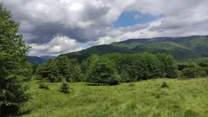 Teren de Vanzare - Intravilan - 2750mp  - imagine 4