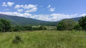 Teren de Vanzare - Intravilan - 2750mp  - imagine 8