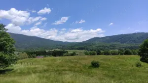 Teren de Vanzare - Intravilan - 2750mp  - imagine 2