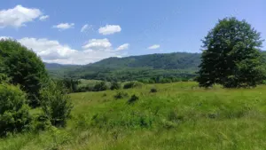 Teren de Vanzare - Intravilan - 2750mp  - imagine 7