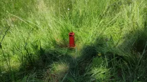 Teren de Vanzare - Intravilan - 2750mp  - imagine 3