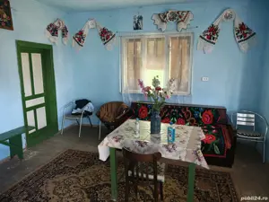 Vand casa in Sat Cerisor, Comuna Lelese, Jud. Hunedoara  - imagine 3