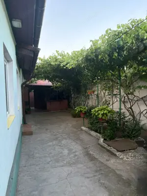 Vand casa Alexandria - imagine 5