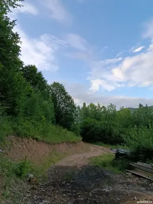 Vând teren muntele rece  - imagine 3