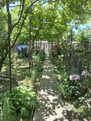 Casă bătrânească renovabilă - imagine 2