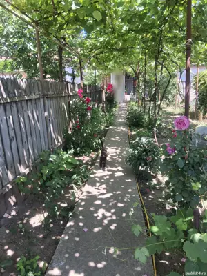 Casă bătrânească renovabilă