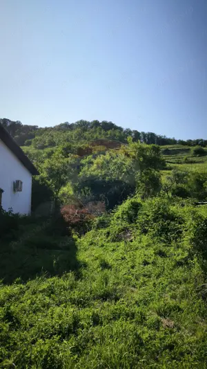 Casă săsească tradițională în inima Biertanului – potential remarcabil - imagine 17