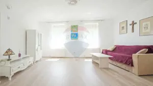 Casă falnică, curte individuală, langă Piața Unirii, în inima Scheilor - imagine 8