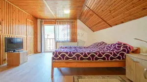 Casă falnică, curte individuală, langă Piața Unirii, în inima Scheilor - imagine 16