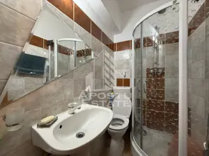 Apartament 3 camere si birou de vanzare zona Dorobantilor Timisoara - imagine 11