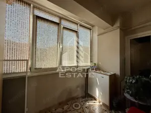 Apartament 3 camere si birou de vanzare zona Dorobantilor Timisoara - imagine 15