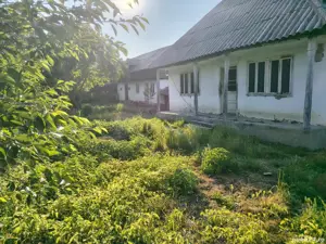 teren cu casă bătrânească de vanzare - imagine 2 teren cu casă bătrânească de vanzare - imagine 2