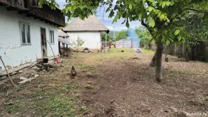 teren cu casă bătrânească de vanzare - imagine 5 teren cu casă bătrânească de vanzare - imagine 5