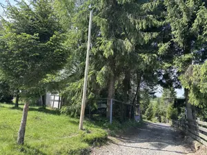 Persona fizica vand cabana cu teren la Beliș - imagine 6