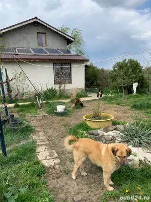 Casa langa padure - imagine 3