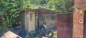 Vand proprietate ( casa si teren ) in Teis, Dambovita - imagine 5