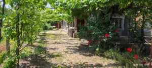 Vand proprietate ( casa si teren ) in Teis, Dambovita