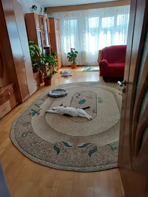 Apartament 2 camere, 73 m2