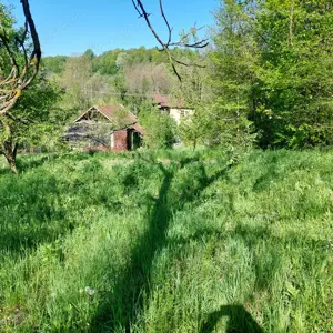 Vanzare teren intravilan Provita de Jos - imagine 3