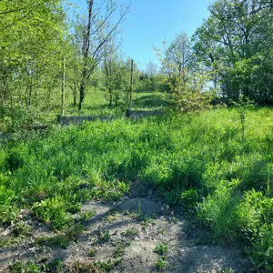 Vanzare teren intravilan Provita de Jos - imagine 4