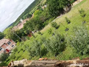 teren de vanzare in sat dostat - imagine 6