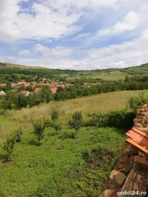teren de vanzare in sat dostat - imagine 7