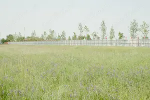 Otopeni - Str. Nicolae Grigorescu, 8.000 mp. teren langa Aqua Magic - imagine 7