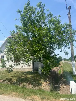 vand casa la tara  - imagine 5