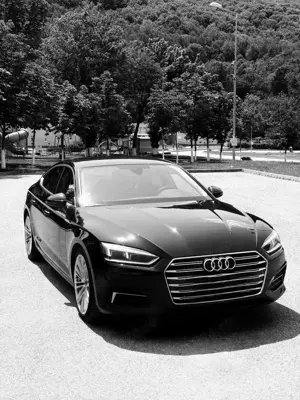 Șofer personal   cu mașina proprie sau a angajatorului 