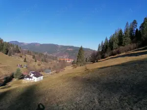 Proprietate 8ha si cabana de vanzare in Bucovina Campulung Moldovenesc