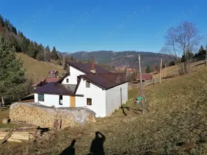 Proprietate 8ha si cabana de vanzare in Bucovina Campulung Moldovenesc - imagine 6