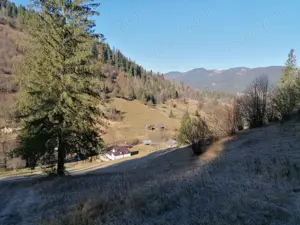 Proprietate 8ha si cabana de vanzare in Bucovina Campulung Moldovenesc - imagine 2