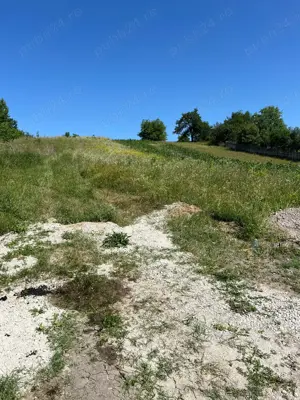 Vand teren extravilan in Racastia langa Hunedoara - imagine 6