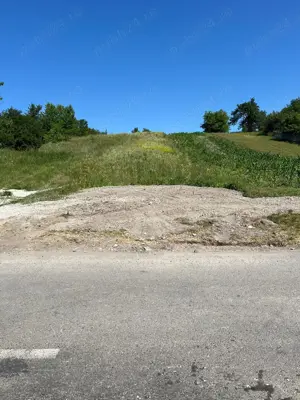 Vand teren extravilan in Racastia langa Hunedoara - imagine 7