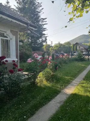 Casa locuibila cu teren mic Bistrita - imagine 2