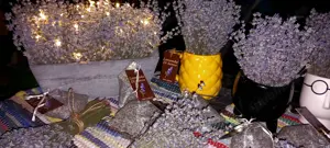 Lavanda naturala uscata